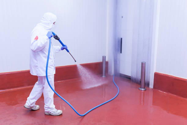 Paint Preparation in Zephyrhills West, FL